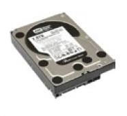 Lenovo ThinkServer 250GB 7.2K Cabled 3.5  SATA Hard drive (67Y1400)